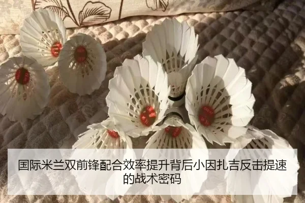 国际米兰双前锋配合效率提升背后小因扎吉反击提速的战术密码