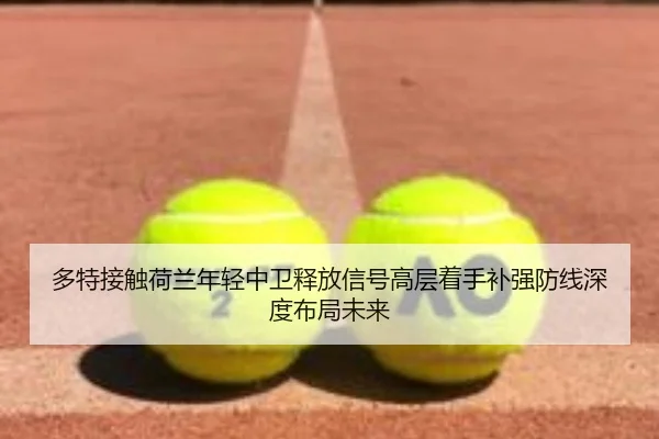 多特接触荷兰年轻中卫释放信号高层着手补强防线深度布局未来